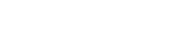 Digisimo